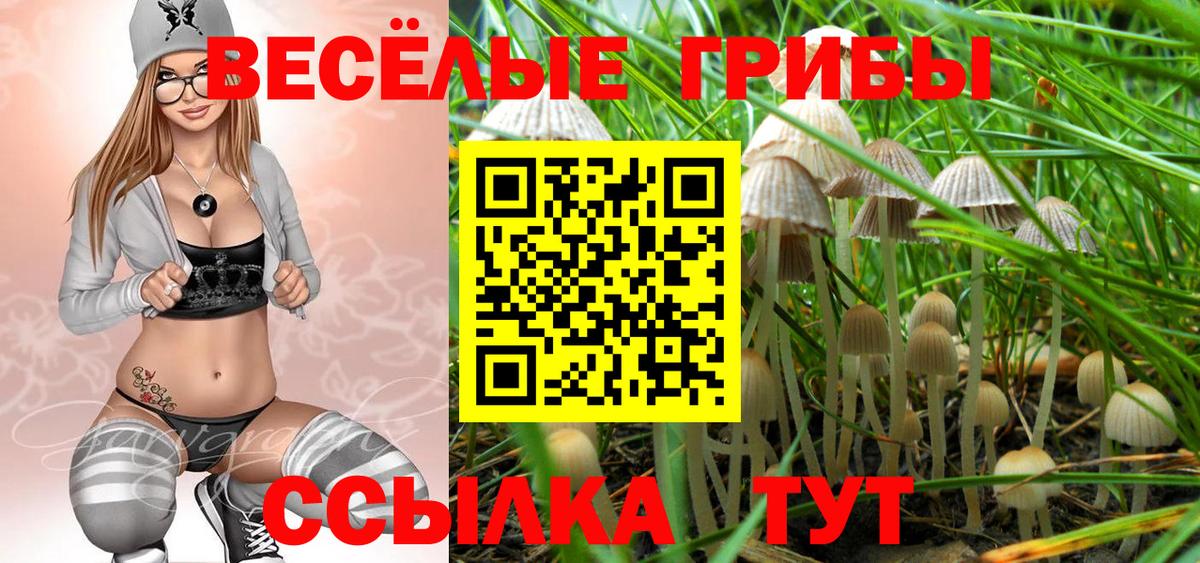 Сальск  Галлюциногенные грибы MAGIC MUSHROOMS  Вход с VPN 